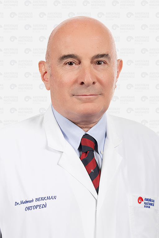 Prof. Dr. Mahmut Berkman